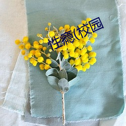 性(xìng)瘾(校园