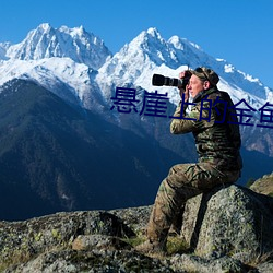 悬崖(崖)上的(的)金鱼姬高清