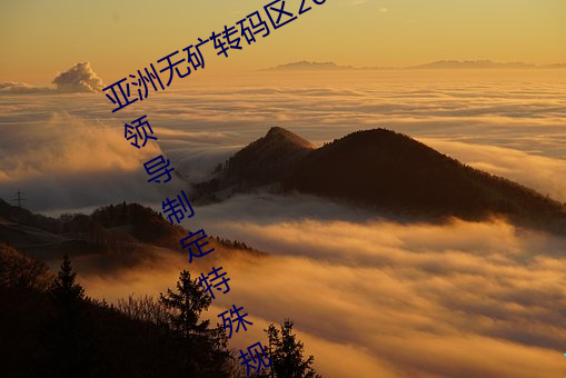 亚洲无矿转码区2022江西机关球赛为领导制定特殊规则:上场1