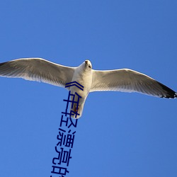 《年轻漂亮的保洁》