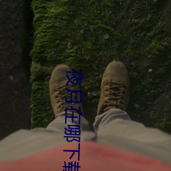 夜月在哪下(xià)载(zi)
