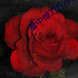 AG真人平台(中国)官方网站