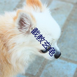 截教玄龜