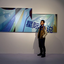 星際小說
