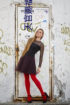 天官赐福樱花动漫在线观看