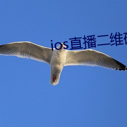 ios直(直)播二维(維)码(碼)