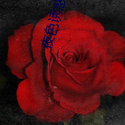 AG真人平台(中国)官方网站