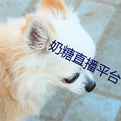 奶糖直播平台