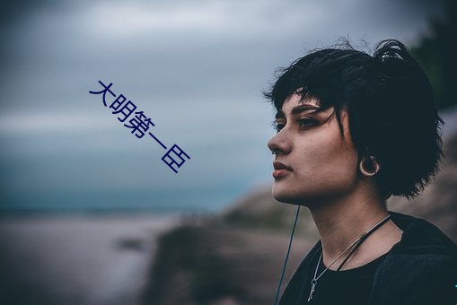 大明第一臣