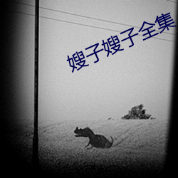 嫂子嫂子全集