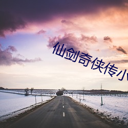 仙剑(劍)奇(奇)侠(俠)传小(小)说(說)