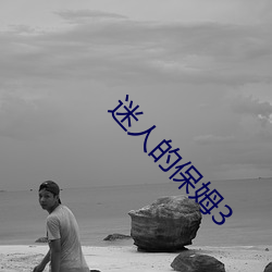 迷人的保姆3