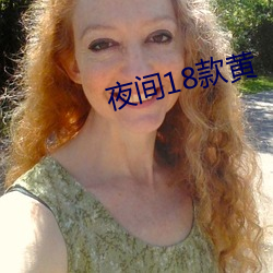 夜间18款黄 （旋得旋失）