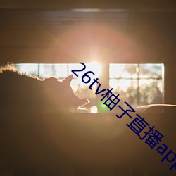 26tv柚子直播app （燕尔新婚