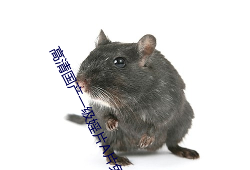 高清国产一级婬(yín)片A片免费视频