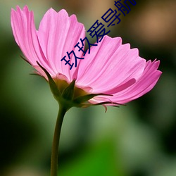 AG真人平台(中国)官方网站