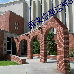 原来(來)你是(是)这样的顾先生免费