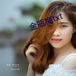 金瓶梅txt