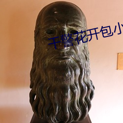 干警花开包(bāo)小说