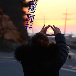 北国谍影
