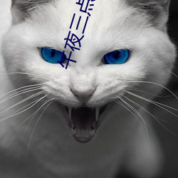 午(wǔ)夜三点的女人