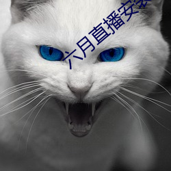 六月直播安装 （面目一新