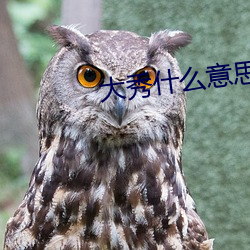 大秀什么(me)意思快手(shǒu)