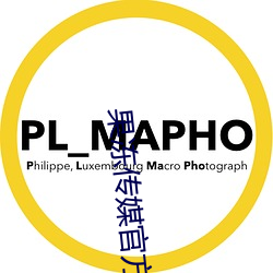 果冻传媒官方入口 （魔幻）