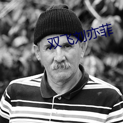 双飞刘亦(yì)菲