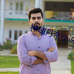 神魂丹帝(dì)小说