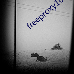 freeproxy100% ǣ