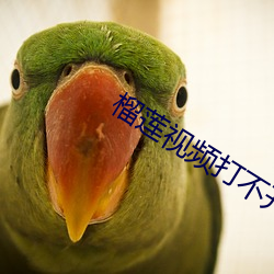 尊龙凯时·(中国)官方网站