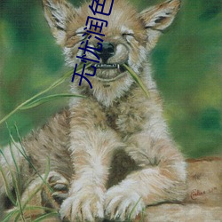 vwinӮ(й) - ٷվ
