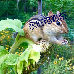 永旺電影院