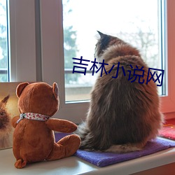 吉林小说网
