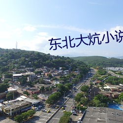 东北大炕小说
