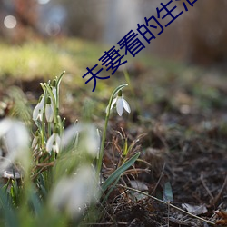 vwinӮ(й) - ٷվ