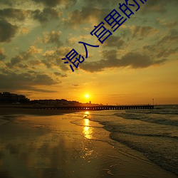 混入宫(宮)里的假太监海晨(晨)