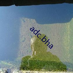 adc.bha （ü苦眼）