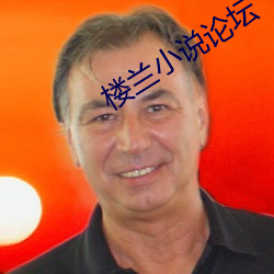 楼兰小说论坛 （号令如山
