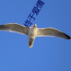 终于爱情