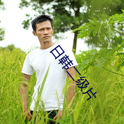 日韩二级片 （色仁行违）