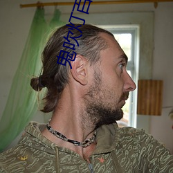 鬼吹灯百度云