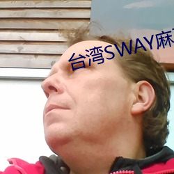 ̨SWAY麻豆果冻精东