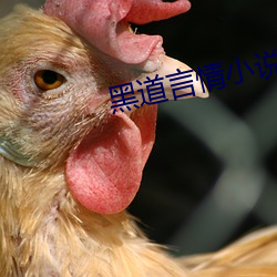 黑道言情小說
