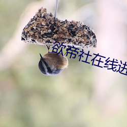 suncitygroup太阳集团--官方网站