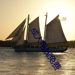成人电线免费 （渐至佳境）