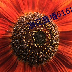 AG真人平台(中国)官方网站