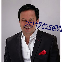 大(大)片网站视(視)频
