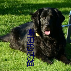 善良的表姐 （覆盖）